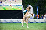 Canine Photography www.k9action.eu FOTOGRAFIA PSW | CANINE PHOTOGRAPHY