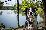 Canine Photography www.k9action.eu FOTOGRAFIA PSW | CANINE PHOTOGRAPHY
