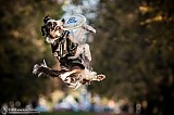Canine Photography www.k9action.eu FOTOGRAFIA PSW | CANINE PHOTOGRAPHY