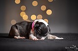 Canine Photography www.k9action.eu FOTOGRAFIA PSW | CANINE PHOTOGRAPHY