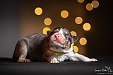 Canine Photography www.k9action.eu FOTOGRAFIA PSW | CANINE PHOTOGRAPHY