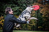 Canine Photography www.k9action.eu FOTOGRAFIA PSW | CANINE PHOTOGRAPHY