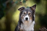 Canine Photography www.k9action.eu FOTOGRAFIA PSW | CANINE PHOTOGRAPHY